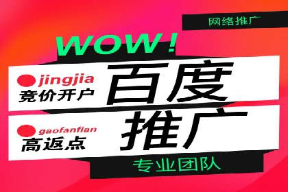 实战解析：SEM网络推广成功案例分享